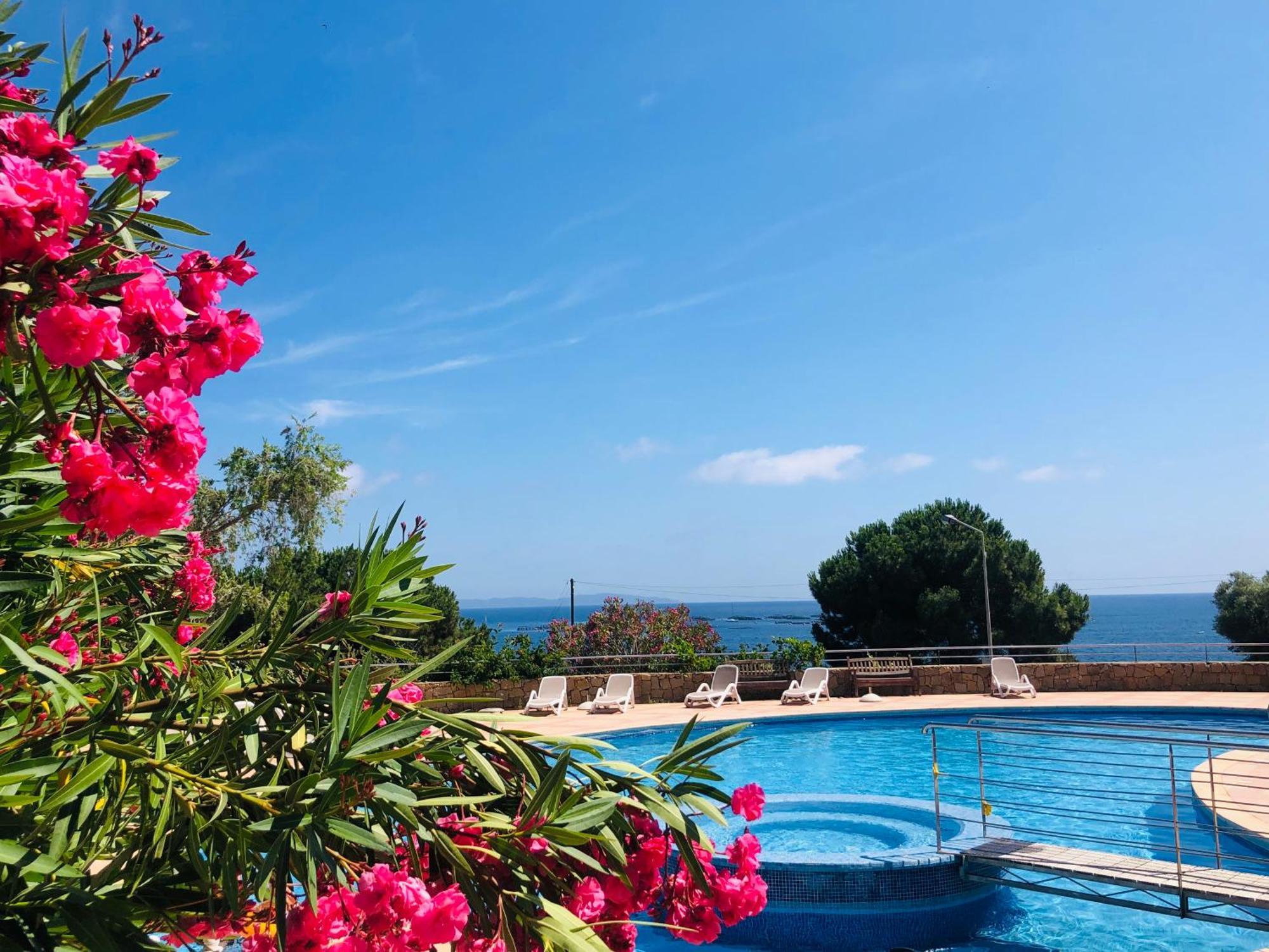 T2 Dolce - Vue Mer, Piscine & * Ajaccio (Corsica)